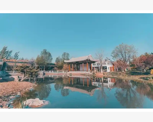 脾胃湿热胃疼吃什么好——中医消化科普