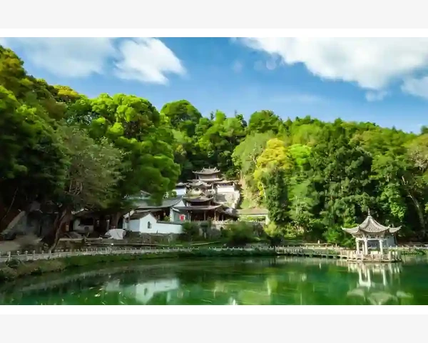 清肺，中草药助您提升呼吸健康