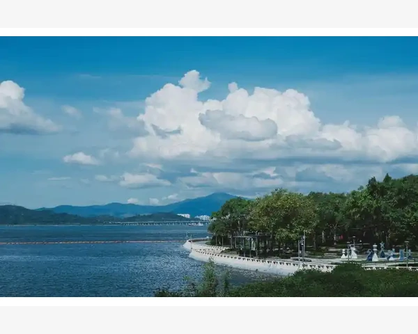 脾胃湿热胃疼吃什么好消化