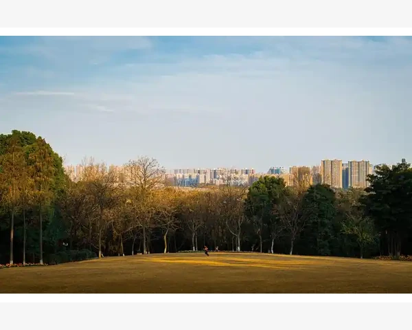 夏至养生，呵护小身体